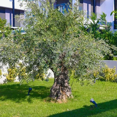 Appartement Lavinia